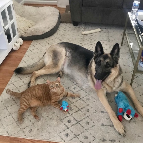 Meet your seller/buyer! I’m Julia 👋🏻 - Picture 5 of 11